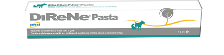 DIRENE PASTA 15 ML - FarmaLucia