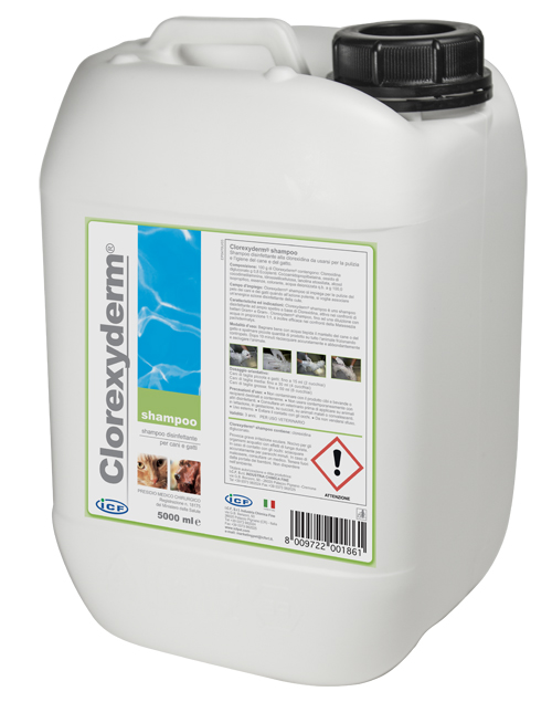 CLOREXYDERM SHAMPOO 5 LITRI - FarmaLucia