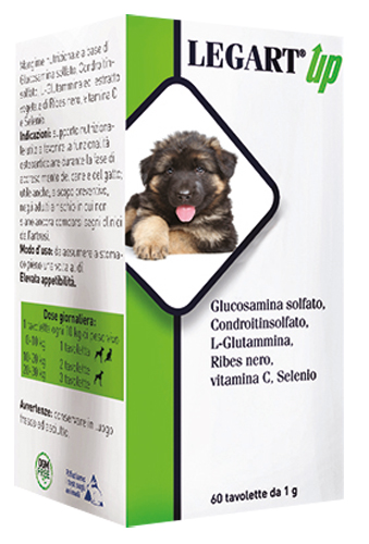 LEGART UP 60 COMPRESSE DA 1 G - FarmaLucia