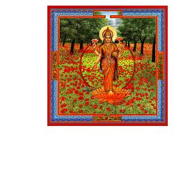 NEESHA-MA GOCCE 30 ML - FarmaLucia