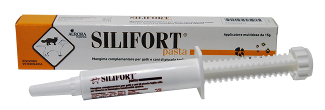SILIFORT PASTA OS SIRINGA 15 G - FarmaLucia