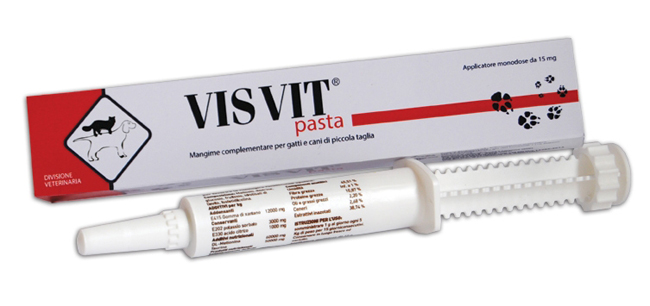 VISVIT PASTA OS SIRINGA 15 G - FarmaLucia