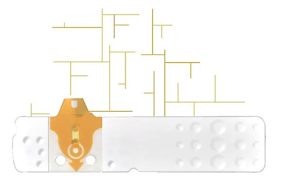 STRISCE MISURAZIONE GLICEMIA LINEA D ORO 25 PEZZI - FarmaLucia