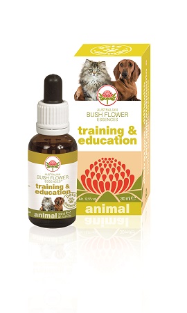 TRAINING & EDUCATION 30 ML - FarmaLucia