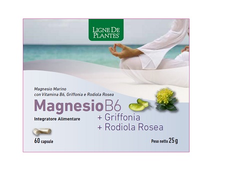 MAGNESIO B6 + GRIFFONIA + RODIOLA 60 CAPSULE - FarmaLucia