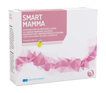 SMART MAMMA 14 BUSTINE GUSTO ANANAS - FarmaLucia
