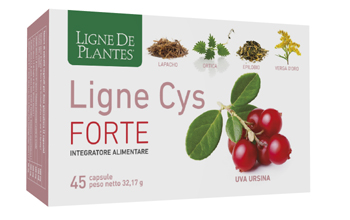 LIGNE CYS FORTE 45 CAPSULE - FarmaLucia