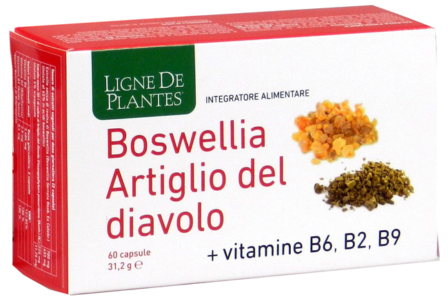 BOSWELLIA ARTIGLIO DIAVOLO VITAMINE B2 B6 B9 60 CAPSULE - FarmaLucia