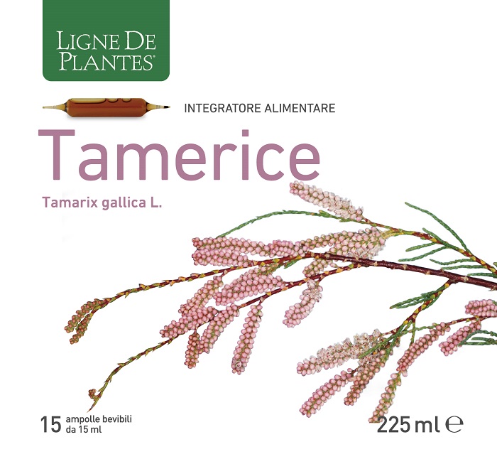 TAMERICE 15 AMPOLLE 15 ML - FarmaLucia