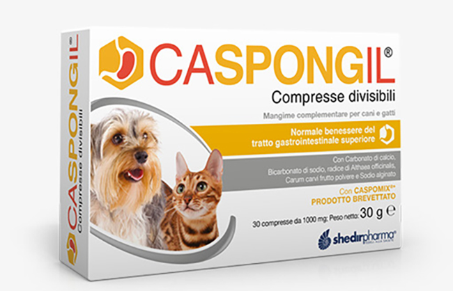CASPONGIL 30 COMPRESSE DIVISIBILI - FarmaLucia