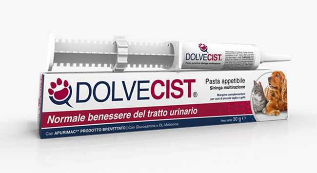 DOLVECIST PASTA SIRINGA 30 G - FarmaLucia