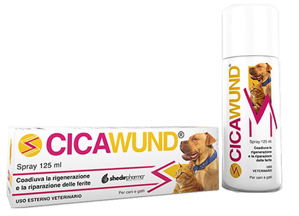 CICAWUND SPRAY 125 ML - FarmaLucia