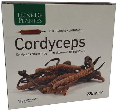 CORDYCEPS 15 AMPOLLE BEVIBILI DA 15 ML - FarmaLucia
