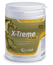 X-TREME FLAME POLVERE BARATTOLO 450 G - FarmaLucia