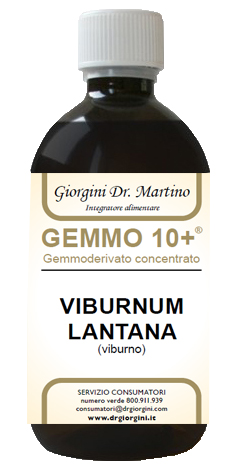VIBURNO LIQUIDO ANALCOLICO GEMMO 10+ 500 ML - FarmaLucia