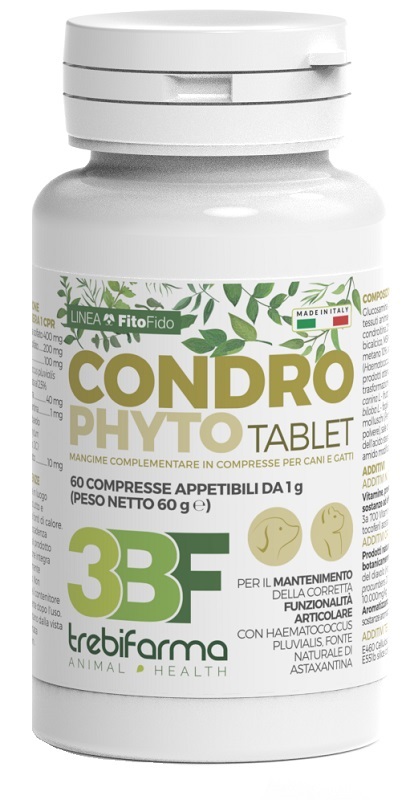 CONDROPHYTO 60 COMPRESSE DA 1 G - FarmaLucia