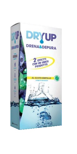 DRYUP MIRTILLO 300 ML - FarmaLucia