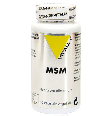MSM 60 CAPSULE - FarmaLucia