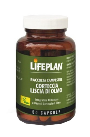 CORTECCIA LISCIA DI OLMO 50 CAPSULE - FarmaLucia