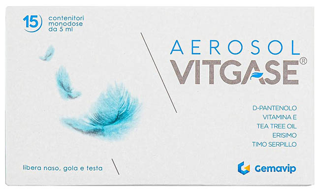 VITGASE AEROSOL 15 FLACONCINI 5 ML - FarmaLucia