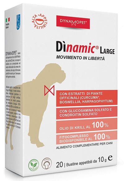 DINAMIC LARGE 20 BUSTINE 10 G - FarmaLucia
