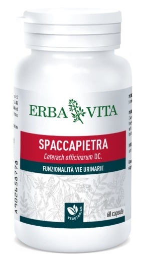 SPACCAPIETRA 60 CAPSULE - FarmaLucia