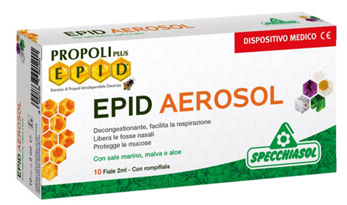 EPID AEROSOL 10 FIALE X 2 ML - FarmaLucia
