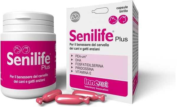 SENILIFE PLUS 60 CAPSULE - FarmaLucia