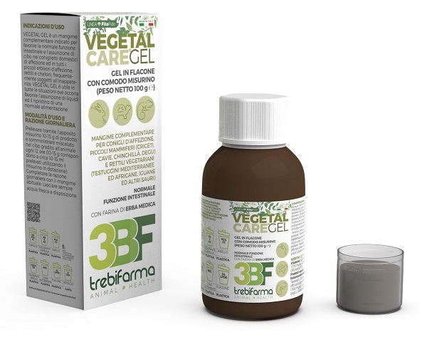 VEGETAL CARE GEL FLACONE 100 G - FarmaLucia