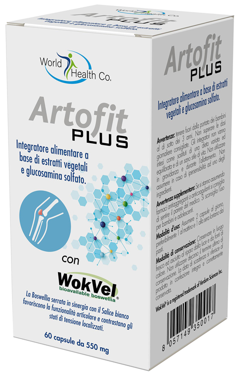 ARTOFIT PLUS 60 CAPSULE - FarmaLucia