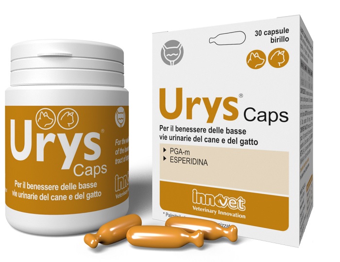 URYS CAPS 30 CAPSULE - FarmaLucia