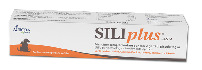 SILIPLUS PASTA 30 G - FarmaLucia
