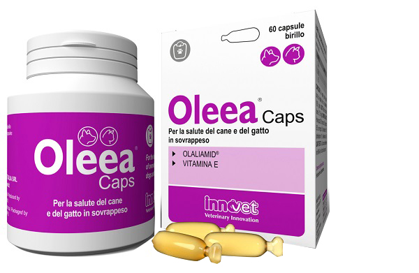 OLEEA CAPS 60 CAPSULE - FarmaLucia