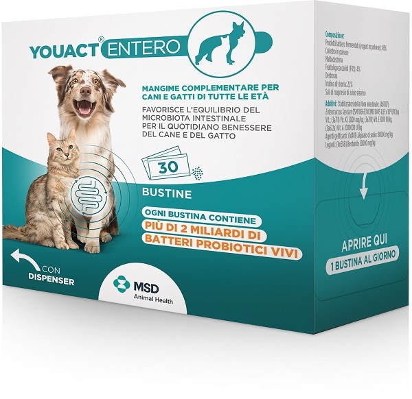 YOUACT ENTERO 30 BUSTINE - FarmaLucia